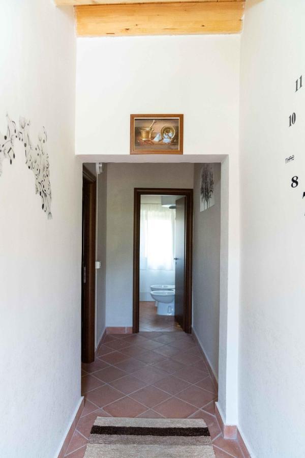 B&B Aria Antica Verbicaro 外观 照片