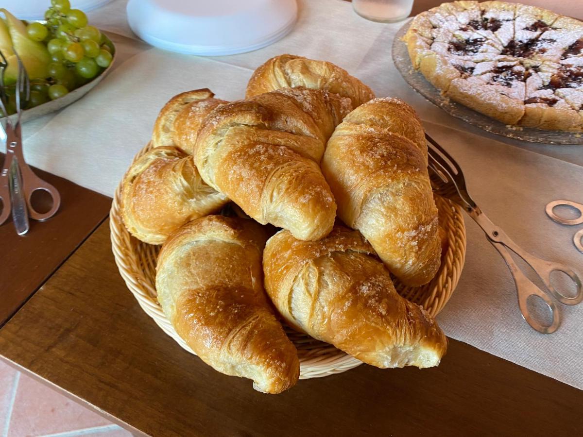 B&B Aria Antica Verbicaro 外观 照片